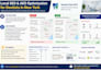 aeo optimization for local business visibility